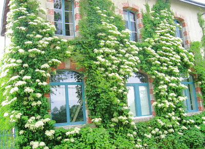 Chambres d'hôtes de L'Ecole Buissonnière en Creuse