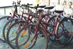 Vélos tous chemins de L'Ecole Buissonnière en Creuse